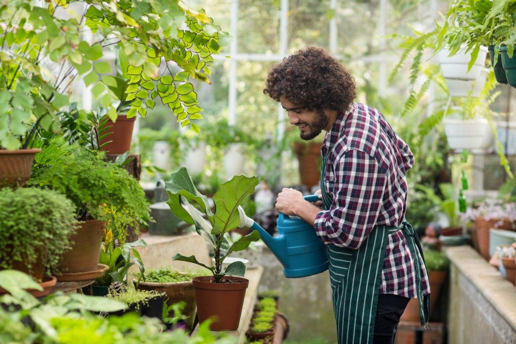 Man watering a plant in a garden